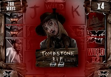 Microgaming - игровой автомат онлайн от Various с RTP 96.07%